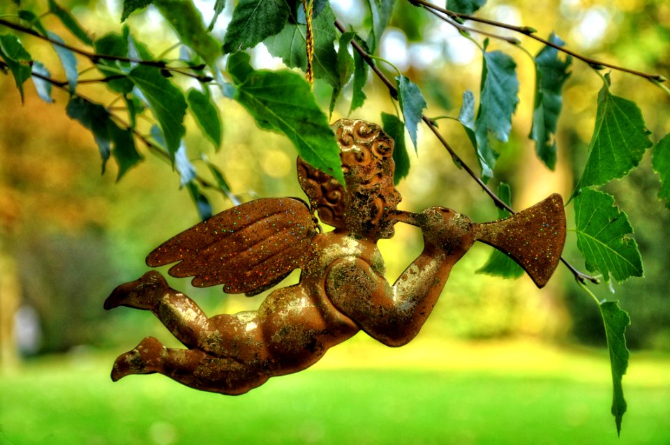 Leaf Fauna Tree Branch