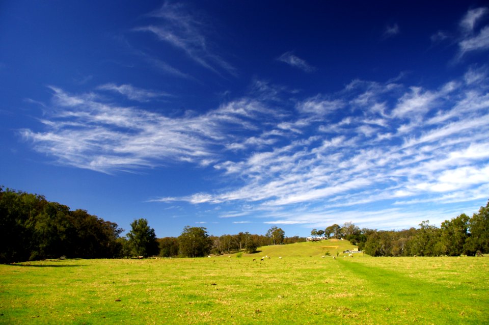 Sky Grassland Cloud Field