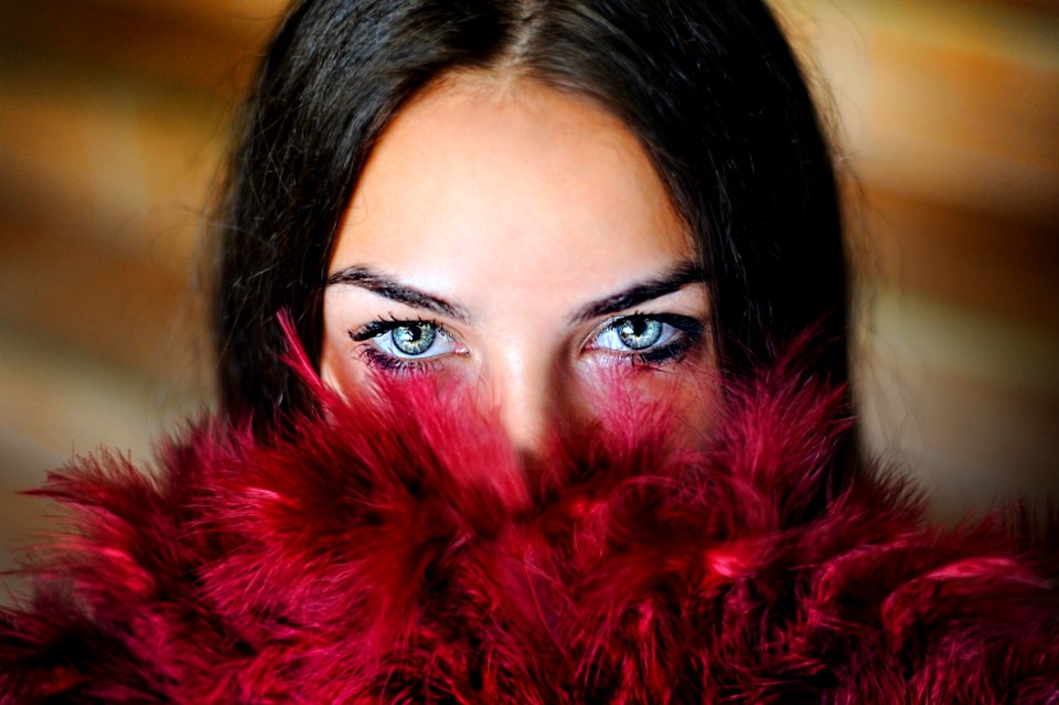 Face Eyebrow Lip Beauty