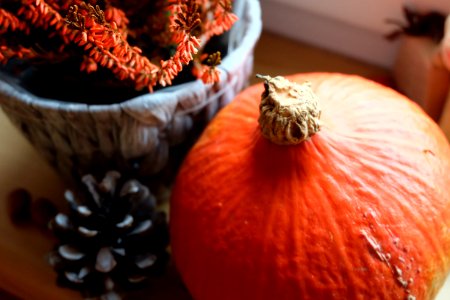 Orange Winter Squash Cucurbita Pumpkin photo