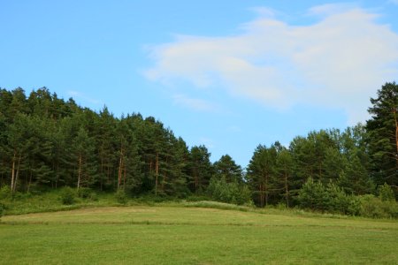 Sky Grassland Ecosystem Vegetation photo