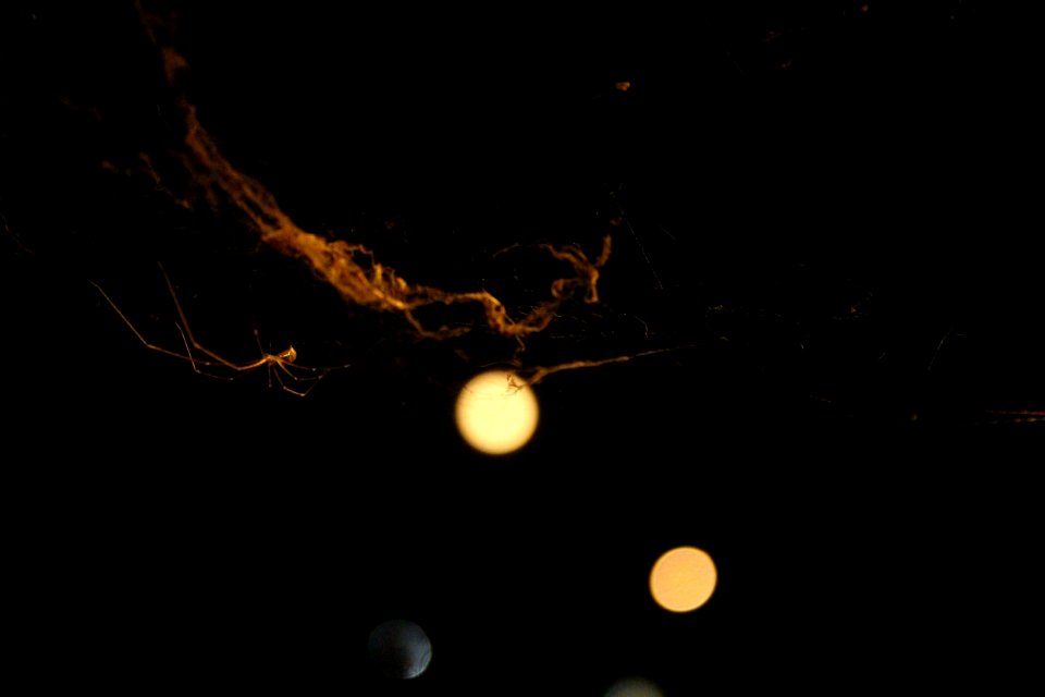 Night Light Darkness Sky