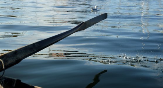 Water Reflection Boats And Boating Equipment And Supplies Oar photo