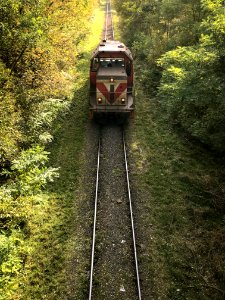 Track Transport Rail Transport Tree photo