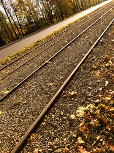 Track Rail Transport Line Tree