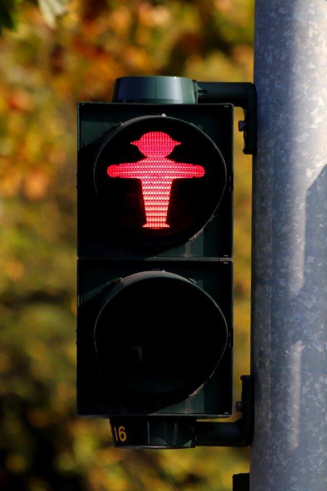 Traffic Light Signaling Device Lighting Sound