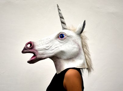 White Unicorn Head Costume