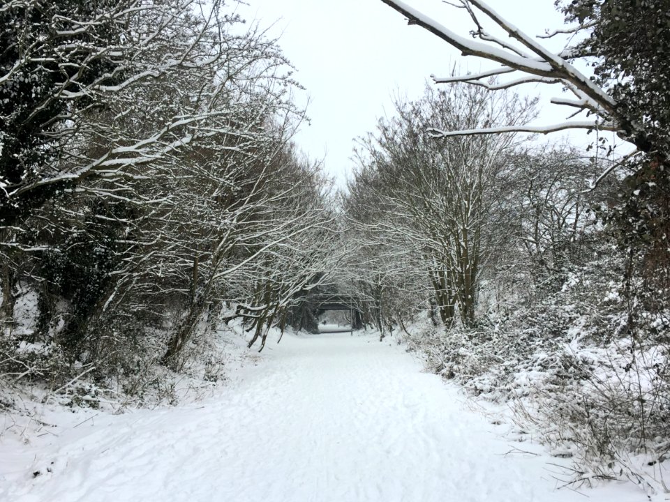 Snow Covered Pathway