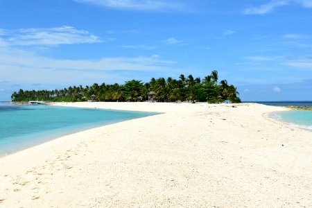 White Sandbars With Green Leaves Trees photo