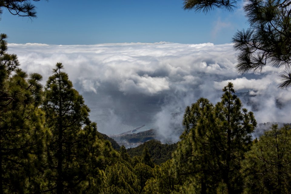 Cloud Sky Nature Tree