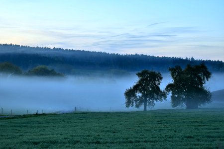 Mist Fog Dawn Morning photo