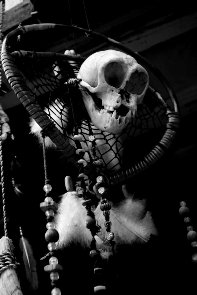 Black Black And White Monochrome Photography Skeleton