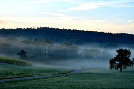 Mist Sky Morning Dawn photo