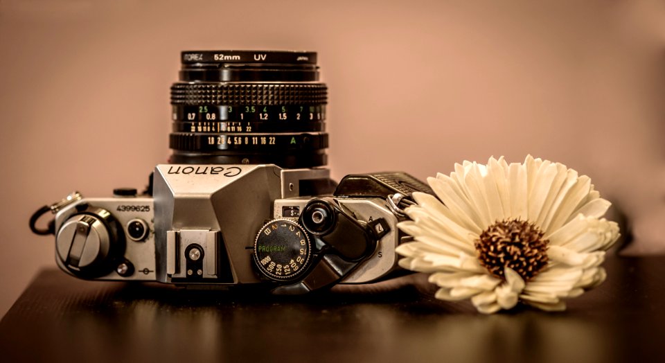 Still Life Camera Still Life Photography Macro Photography