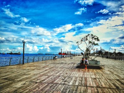 Couple Sitting On Bench Near Tree Under White Skies photo