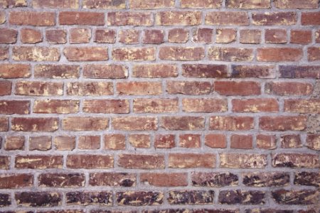 Brown Wall Cladding photo