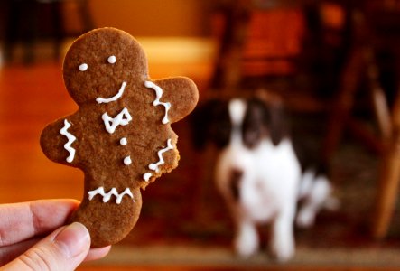 Close-up Photography Of Gingerbread photo