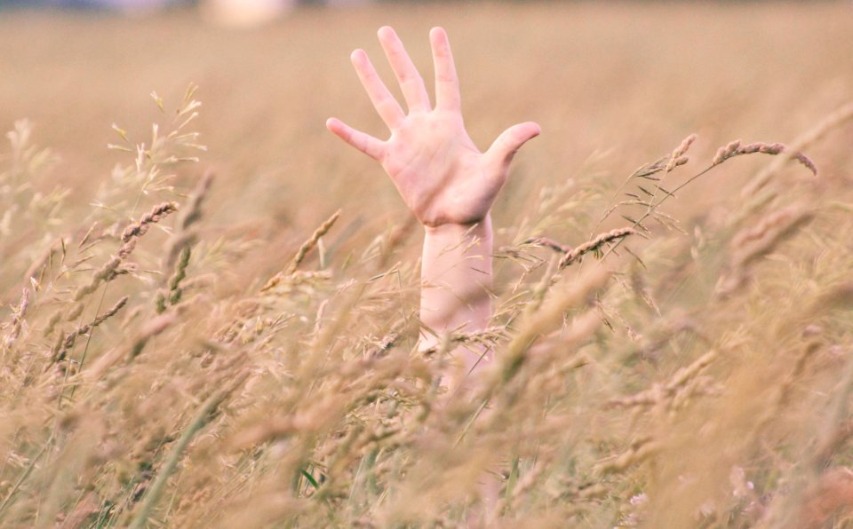 Photo Of Persons Right Hand In Field