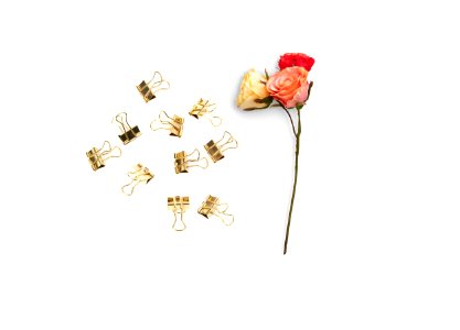 Three Red Yellow And Pink Roses And Brass-colored Clips