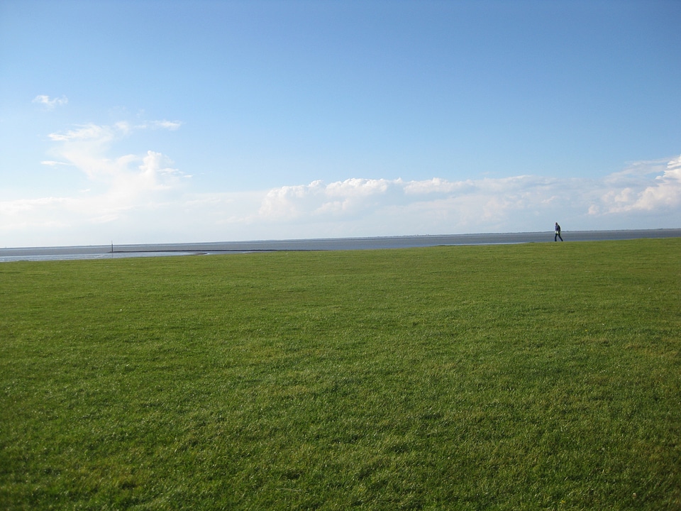 Grass north sea sea
