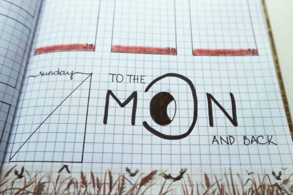 To The Moon And Back Written Paper