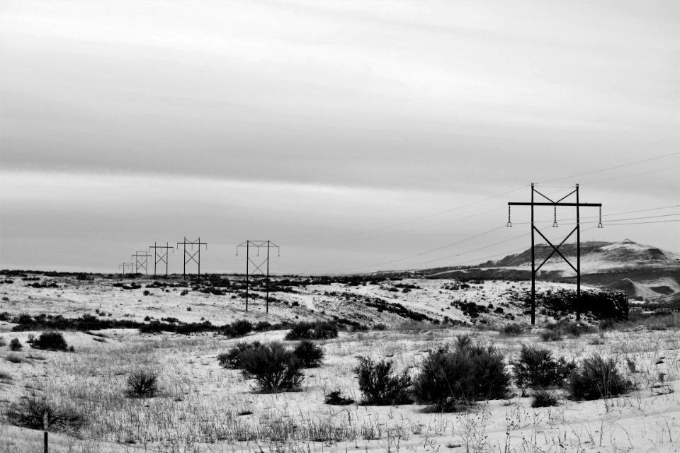 Electric Posts On Dry Field