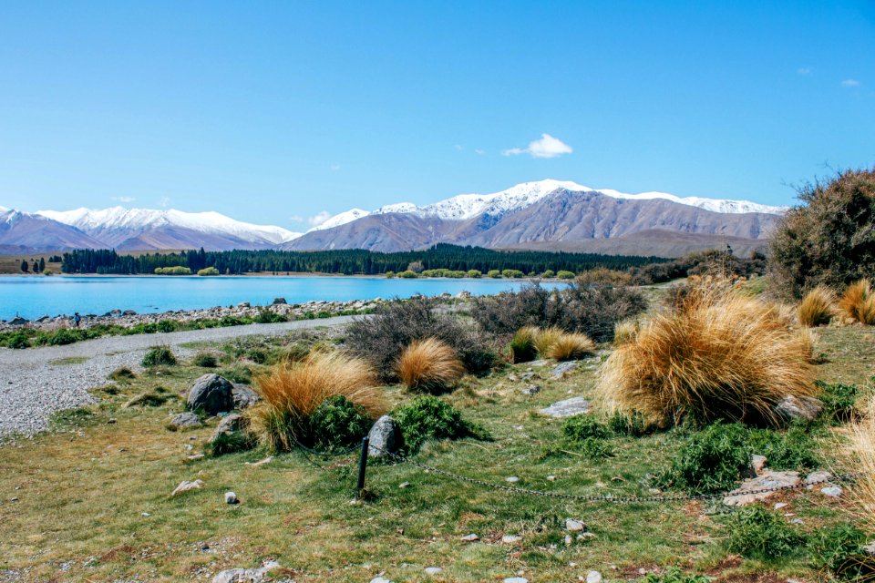 Grass Field Near Body Of Water Under Blue Sky photo