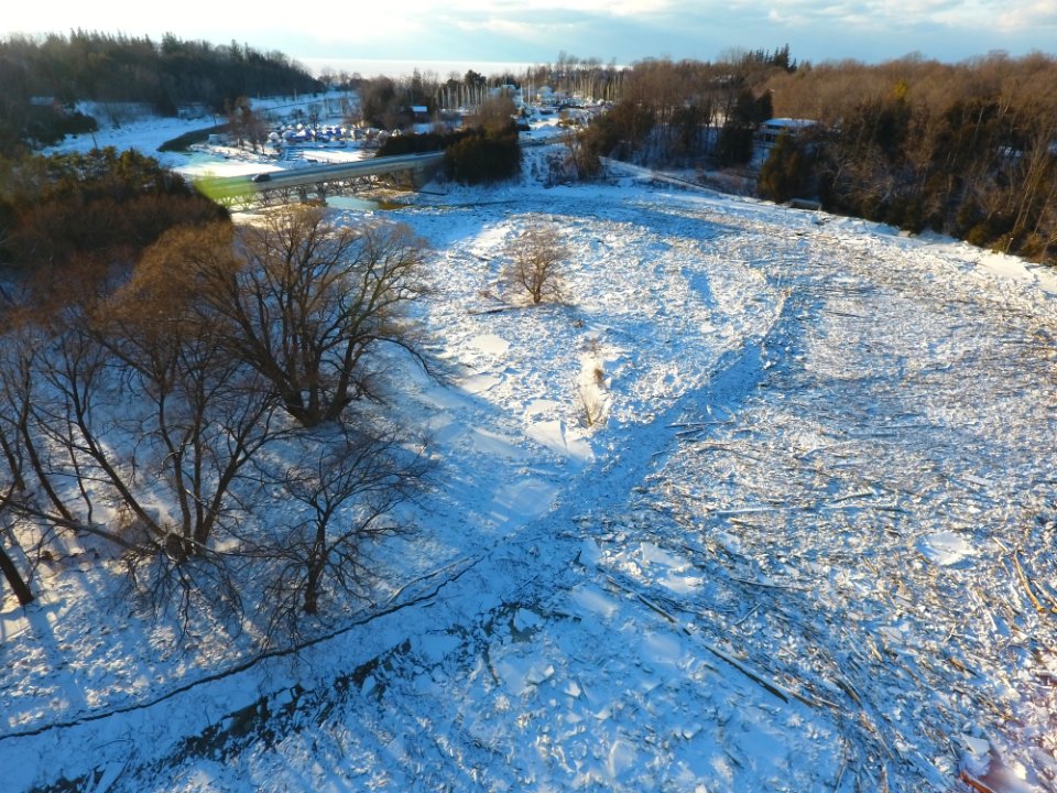 Baretree Surrounded By Snow
