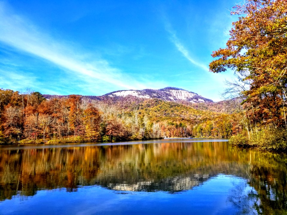 Body Of Water Surrounded By Trees