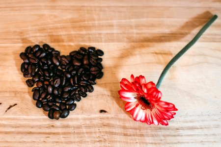 Photo Of Red Petaled Flower Near Coffee Beans photo