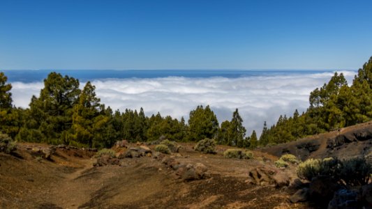 Wilderness Mountain Mountainous Landforms Tree photo