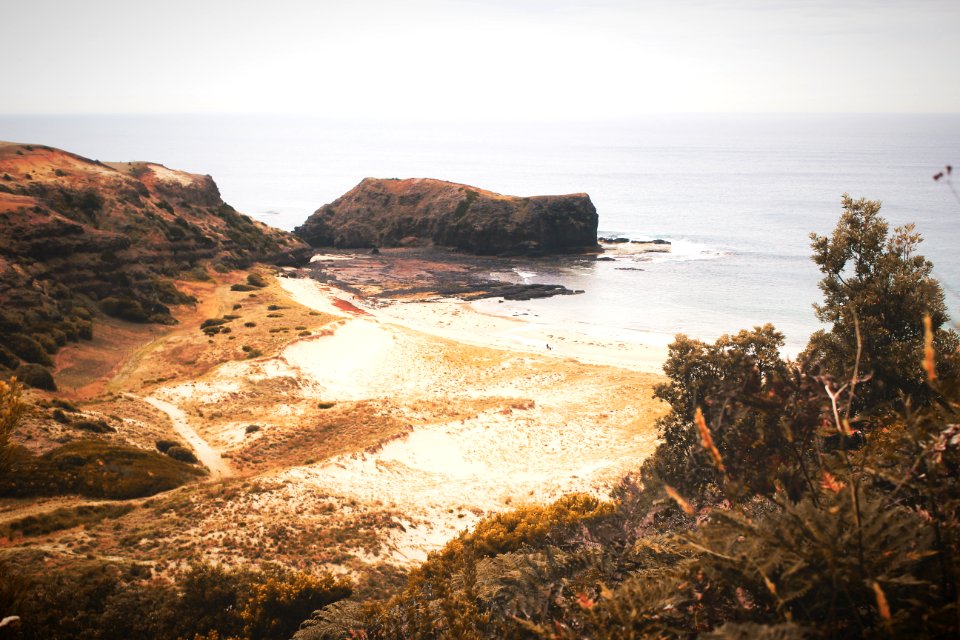 Areal Photograph Of Beach