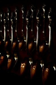 String Instrument Musical Instrument Still Life Photography