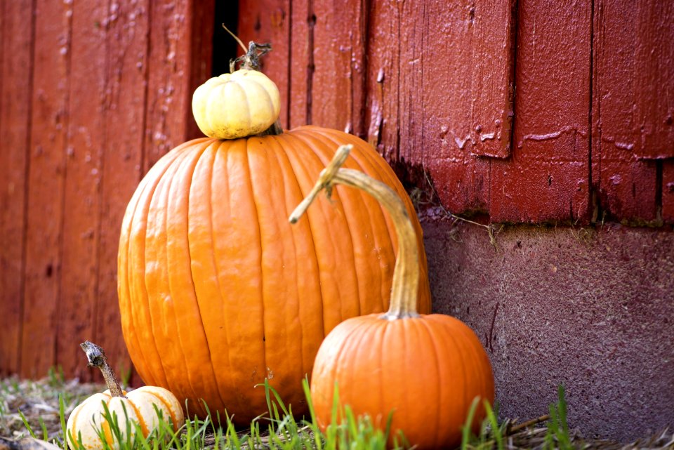 Pumpkin Calabaza Cucurbita Winter Squash