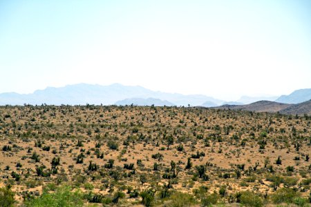 Ecosystem Sky Shrubland Wilderness