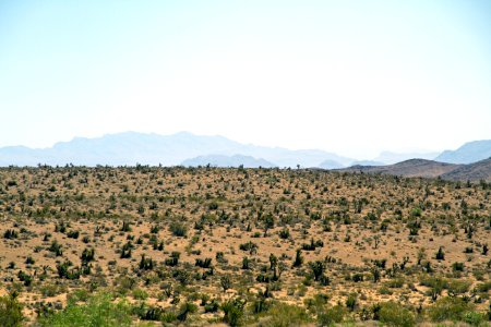 Ecosystem Sky Shrubland Wilderness photo