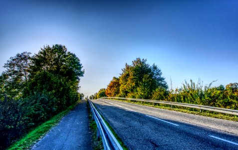 Road Sky Nature Tree