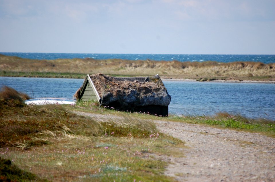 Coast Shore Sea Coastal And Oceanic Landforms