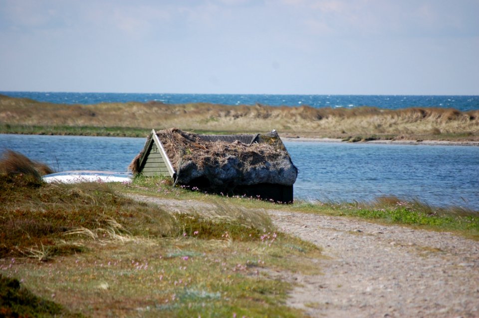 Coast Shore Sea Coastal And Oceanic Landforms photo