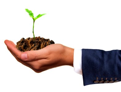 Hand Finger Stock Photography Flowerpot