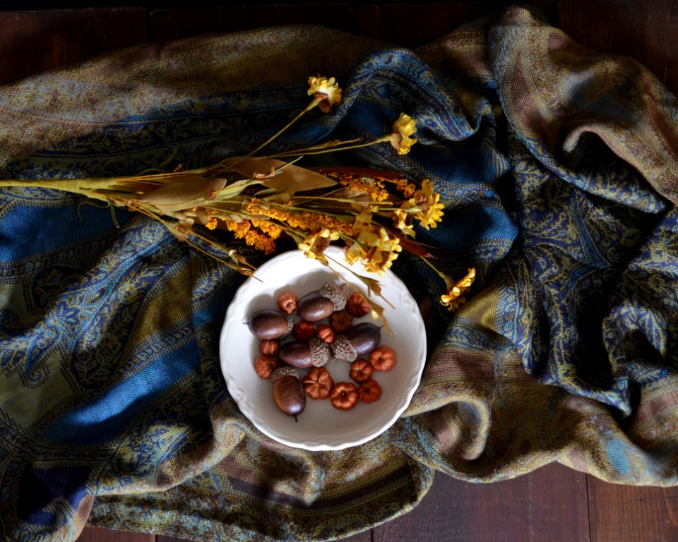 Still Life Still Life Photography Painting