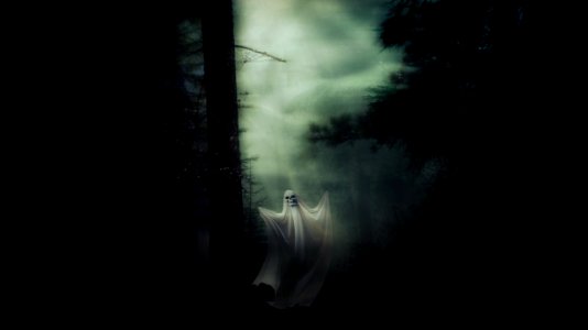 Darkness Atmosphere Forest Mist