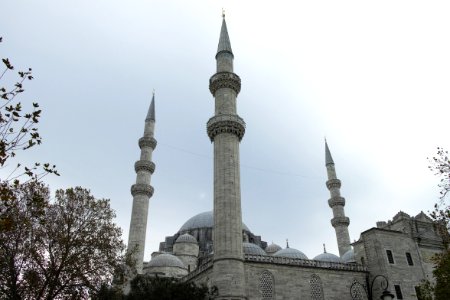 Mosque Landmark Place Of Worship Historic Site