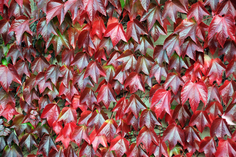 Close hands autumn mood