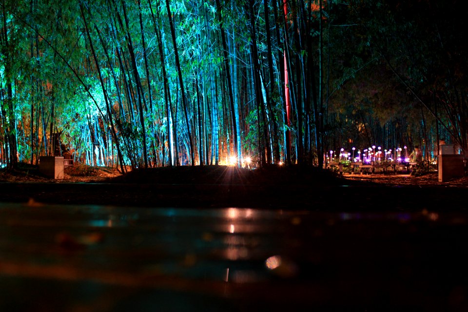 Nature Water Night Reflection