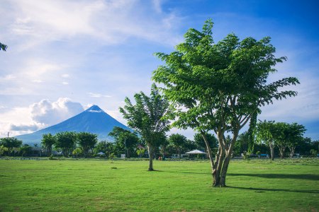 Landscape Photography Of Open Field With Tree With Mayon Volcano Background