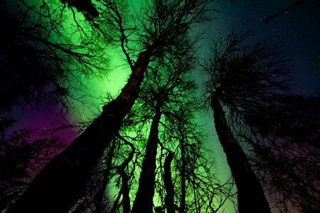 Aurora Borealis photo