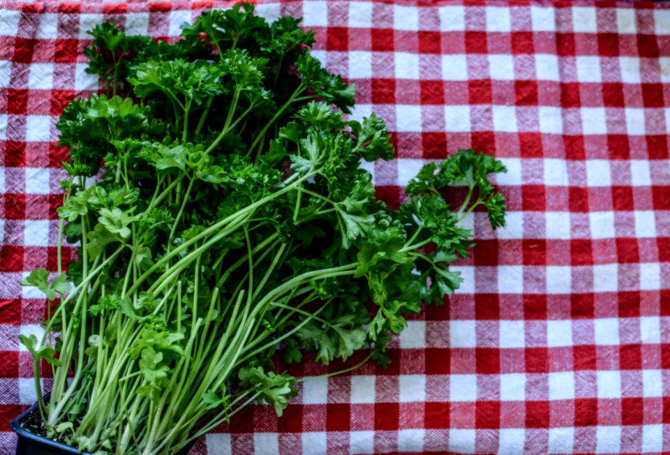 Vegetable Leaf Vegetable Plant Produce