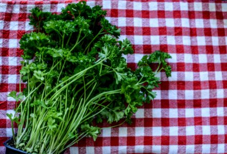 Vegetable Leaf Vegetable Plant Produce