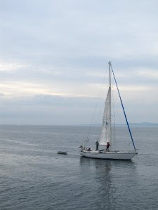 Sailboat Sail Sea Sailing
